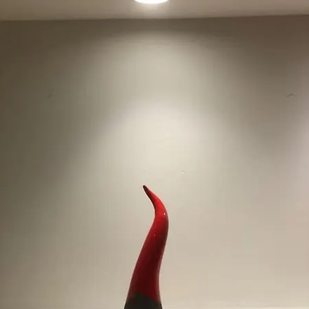La Nova *